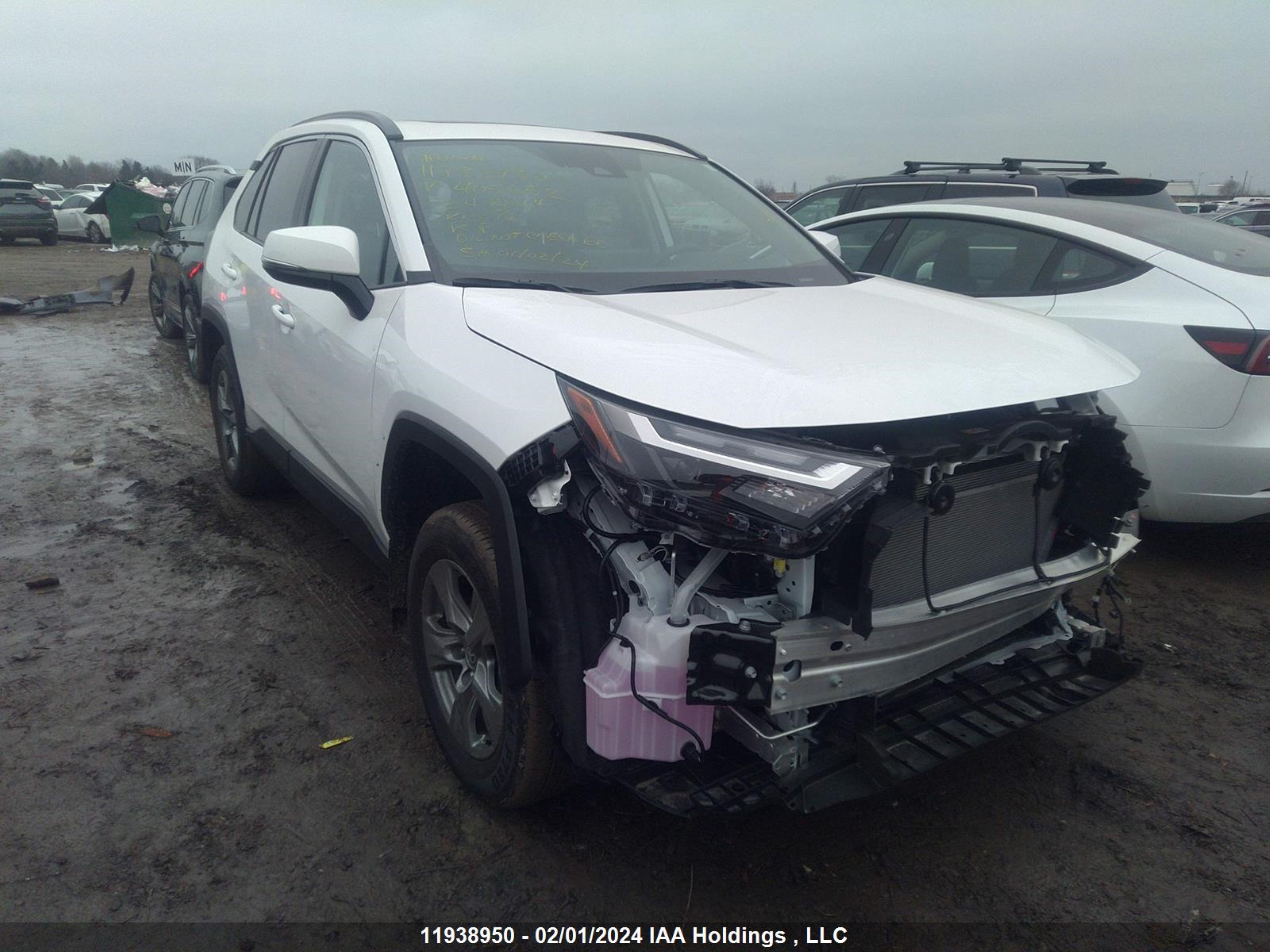 TOYOTA RAV 4 2024 2t3r1rfv9rc405652