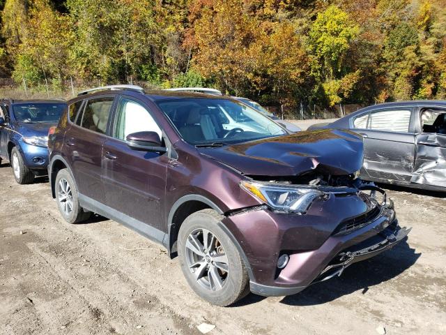 TOYOTA RAV4 XLE 2016 2t3rfrev1gw437378