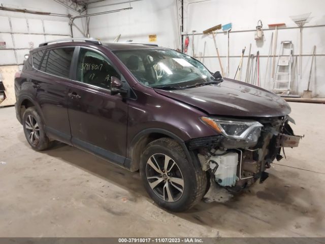 TOYOTA RAV4 2017 2t3rfrev1hw559580