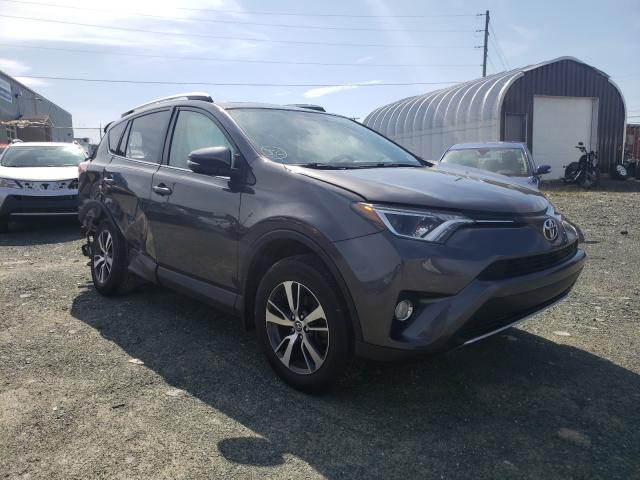 TOYOTA RAV4 XLE 2016 2t3rfrev3gw430285