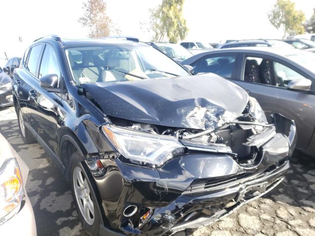 TOYOTA RAV4 XLE 2016 2t3rfrev3gw503123