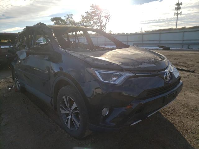 TOYOTA RAV4 XLE 2016 2t3rfrev4gw464297