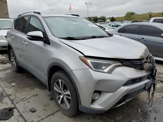 TOYOTA RAV4 XLE 2016 2t3rfrev4gw495968