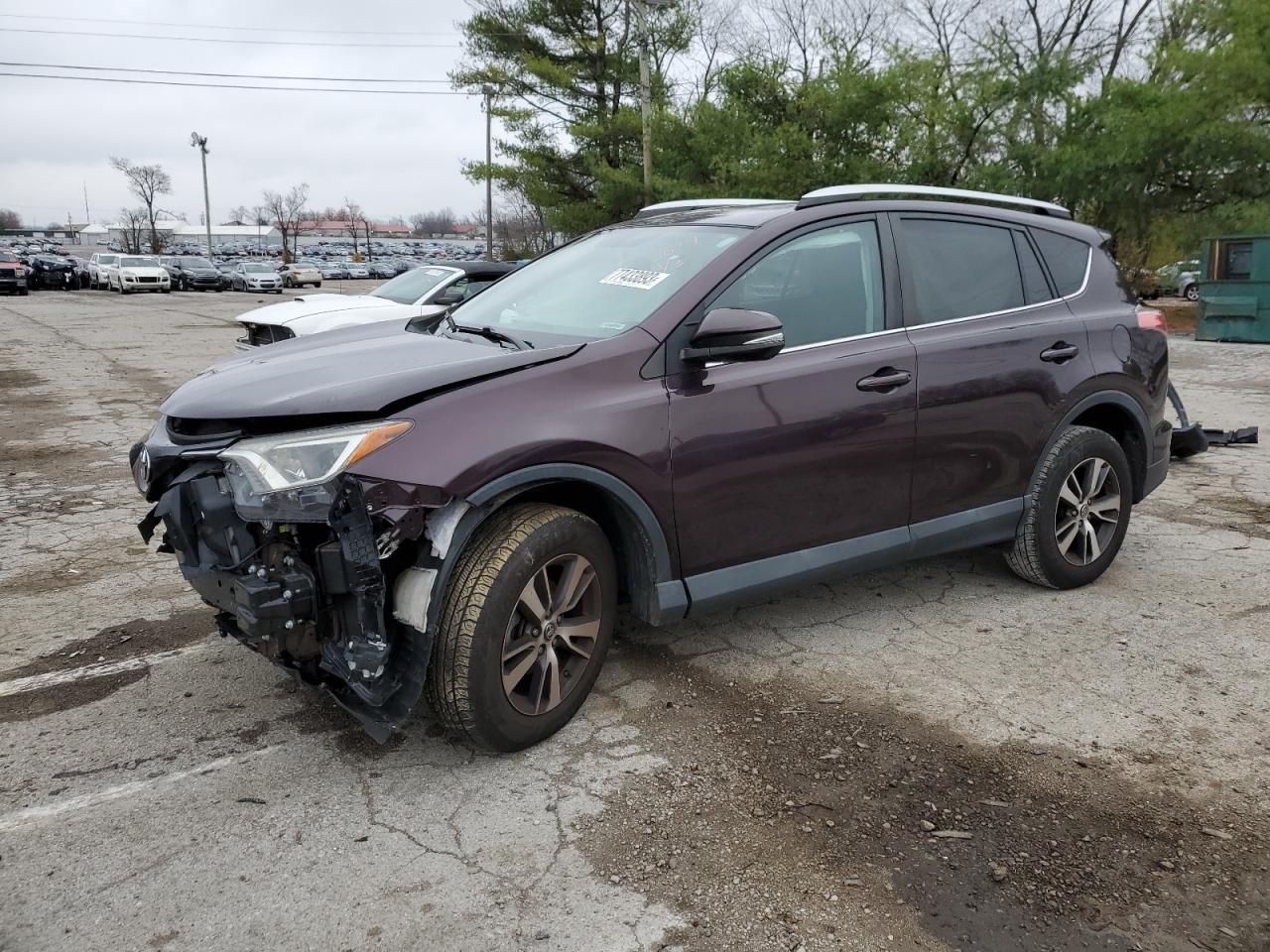 TOYOTA RAV 4 2016 2t3rfrev4gw525874