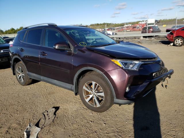 TOYOTA RAV4 XLE 2016 2t3rfrev5gw431776