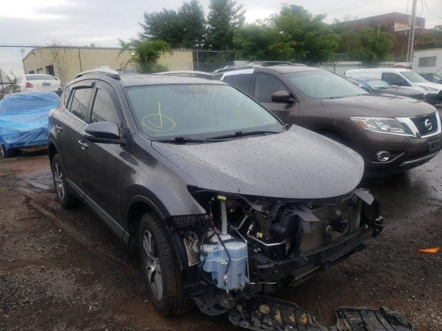 TOYOTA RAV4 XLE 2016 2t3rfrev5gw472988