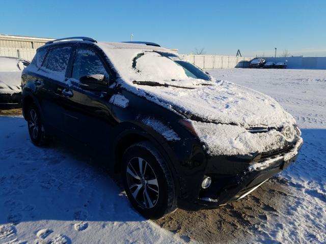 TOYOTA RAV4 XLE 2016 2t3rfrev6gw418504