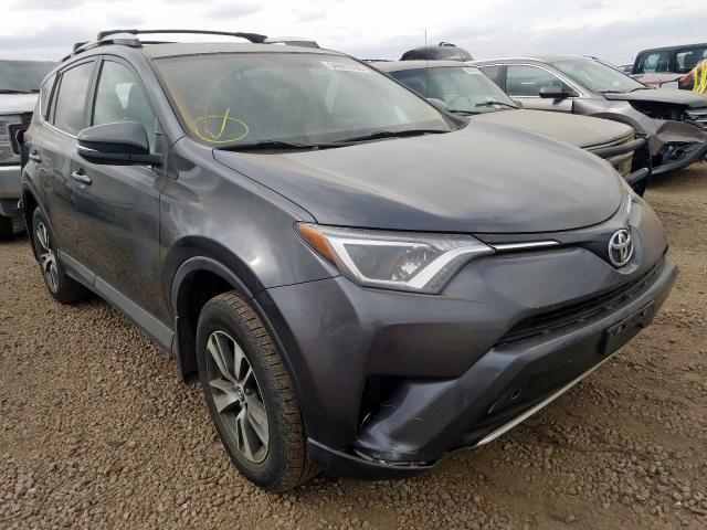 TOYOTA RAV4 XLE 2016 2t3rfrev6gw472336