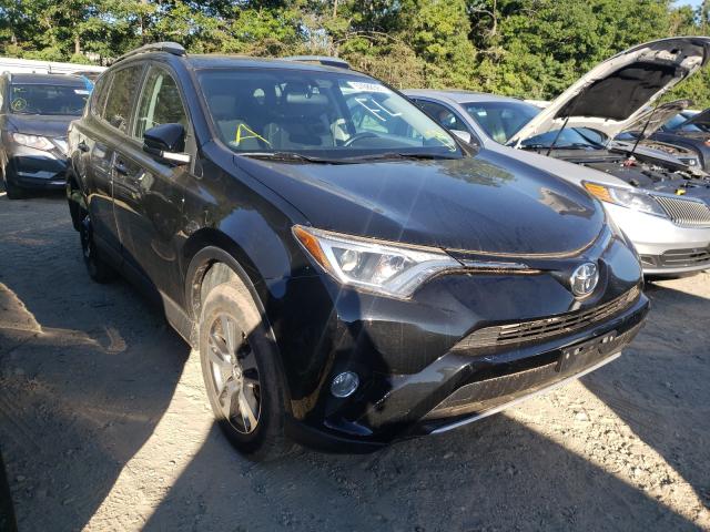 TOYOTA RAV4 XLE 2016 2t3rfrev8gw473987