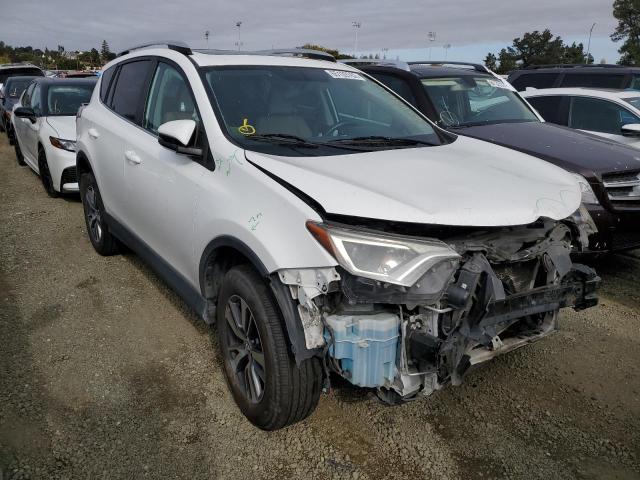 TOYOTA RAV4 XLE 2016 2t3rfrev8gw531466