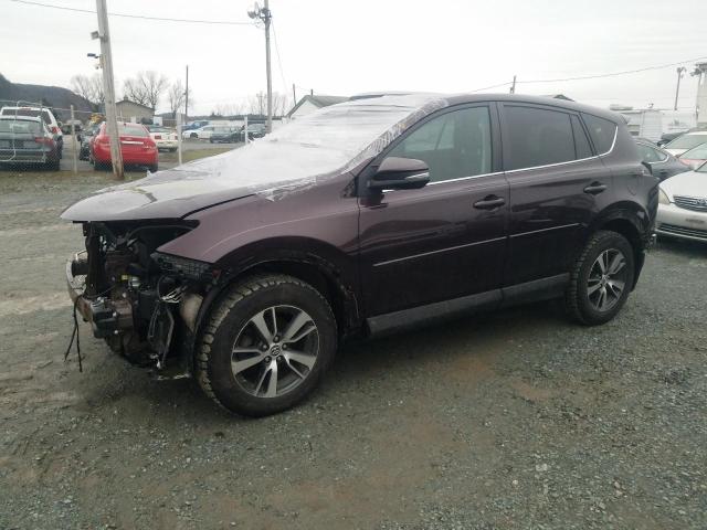 TOYOTA RAV4 XLE 2017 2t3rfrev8hw675147