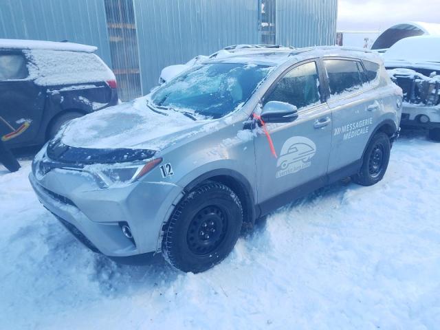 TOYOTA RAV4 XLE 2017 2t3rfrev9hw587255