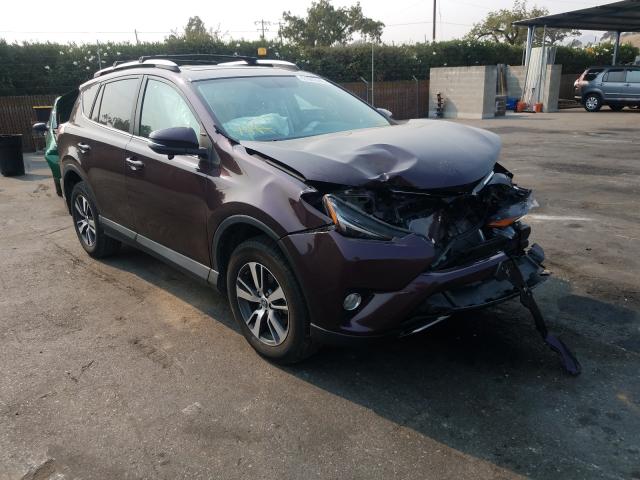 TOYOTA RAV4 XLE 2016 2t3rfrevxgw513986