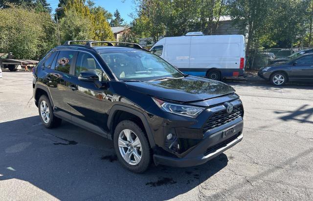 TOYOTA RAV4 XLE 2019 2t3rwrfv1kw014579