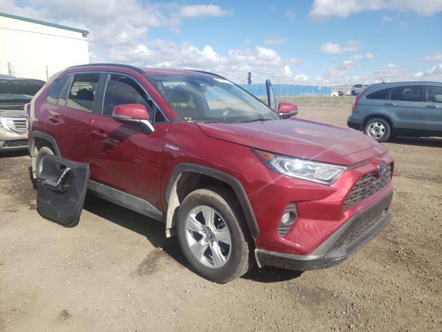 TOYOTA RAV4 XLE 2019 2t3rwrfv2kw034890