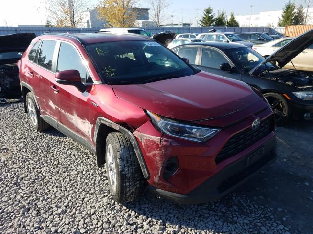 TOYOTA RAV4 XLE 2019 2t3rwrfv3kw005818