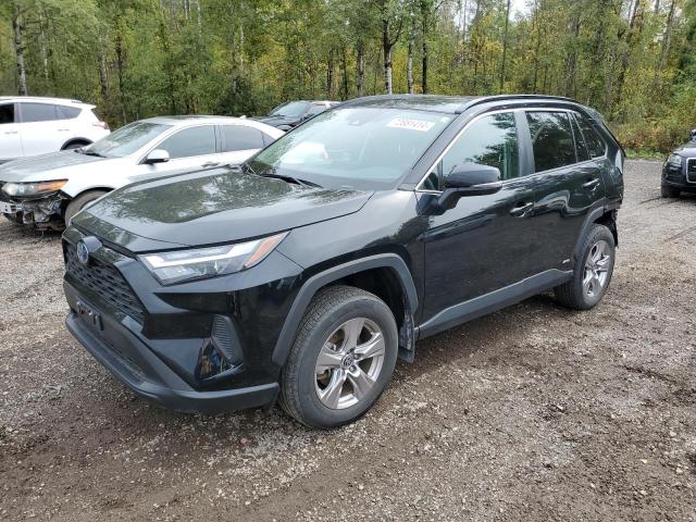 TOYOTA RAV4 XLE 2023 2t3rwrfv3pw160943