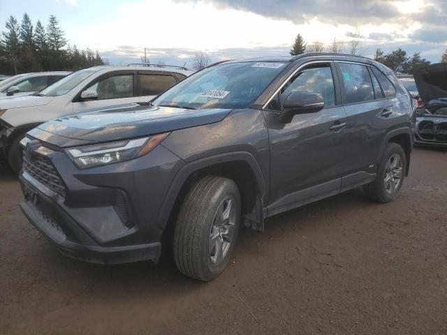 TOYOTA RAV4 XLE 2023 2t3rwrfv3pw181355