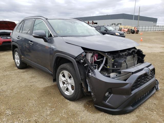 TOYOTA RAV4 XLE 2019 2t3rwrfv4kw040075