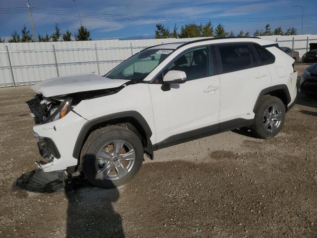 TOYOTA RAV4 XLE 2024 2t3rwrfv4rw201731