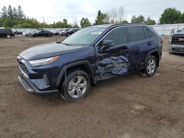 TOYOTA RAV4 XLE 2024 2t3rwrfv4rw220666