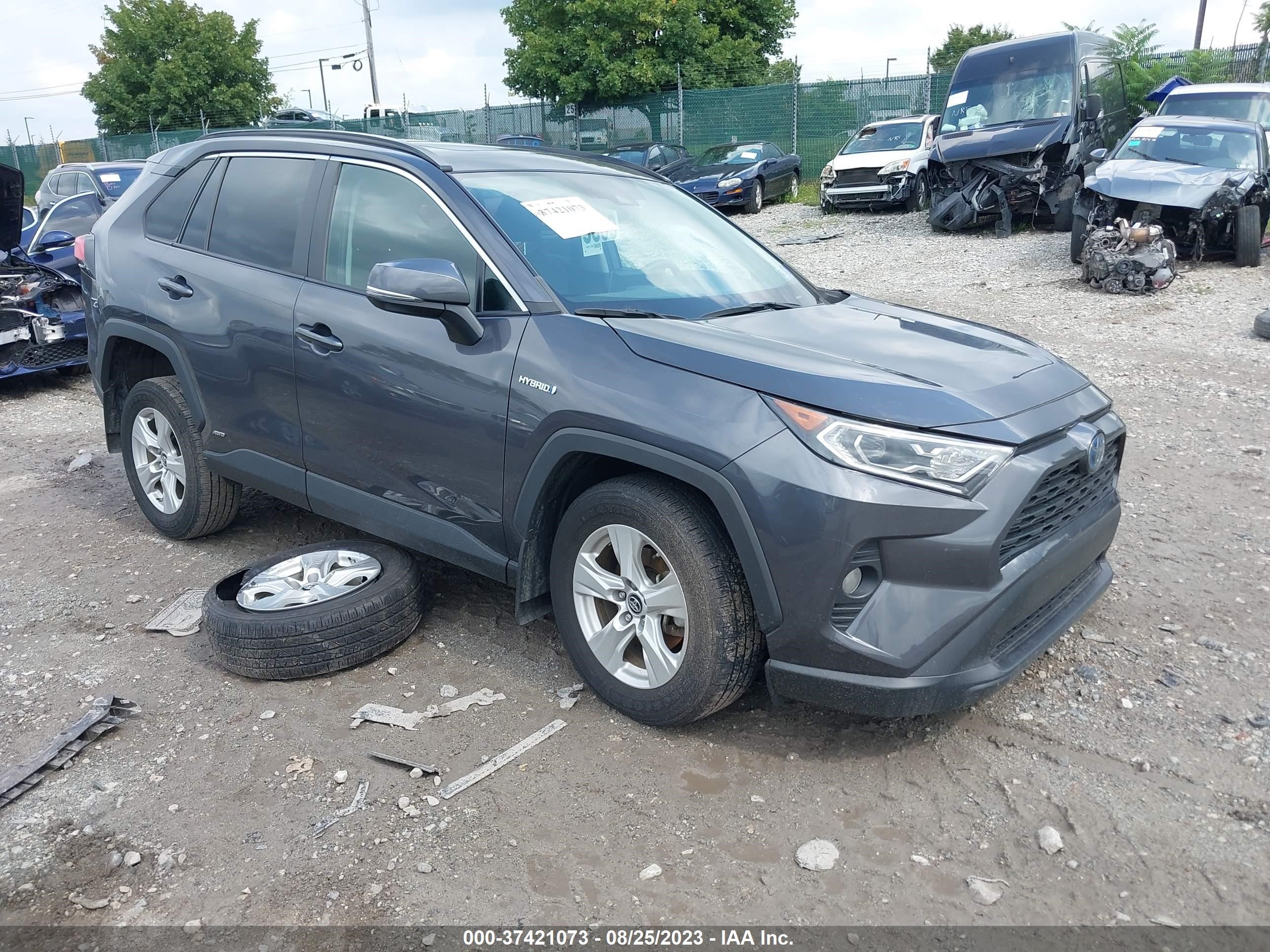 TOYOTA RAV 4 2019 2t3rwrfv5kw019462