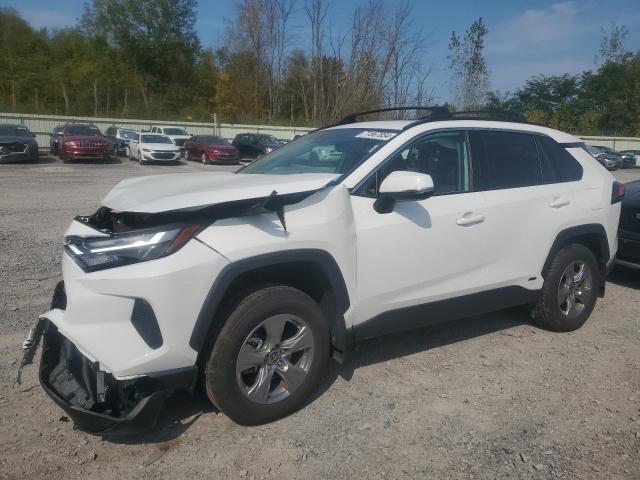 TOYOTA RAV4 XLE 2024 2t3rwrfv8rw202834