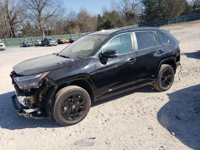 TOYOTA RAV4 SE 2024 2t3t6rfv8rw058238