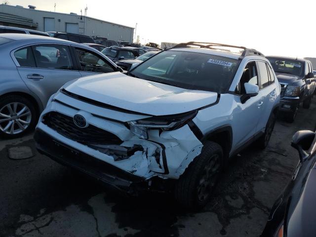 TOYOTA RAV4 WOODL 2023 2t3uwrfv0pw152731