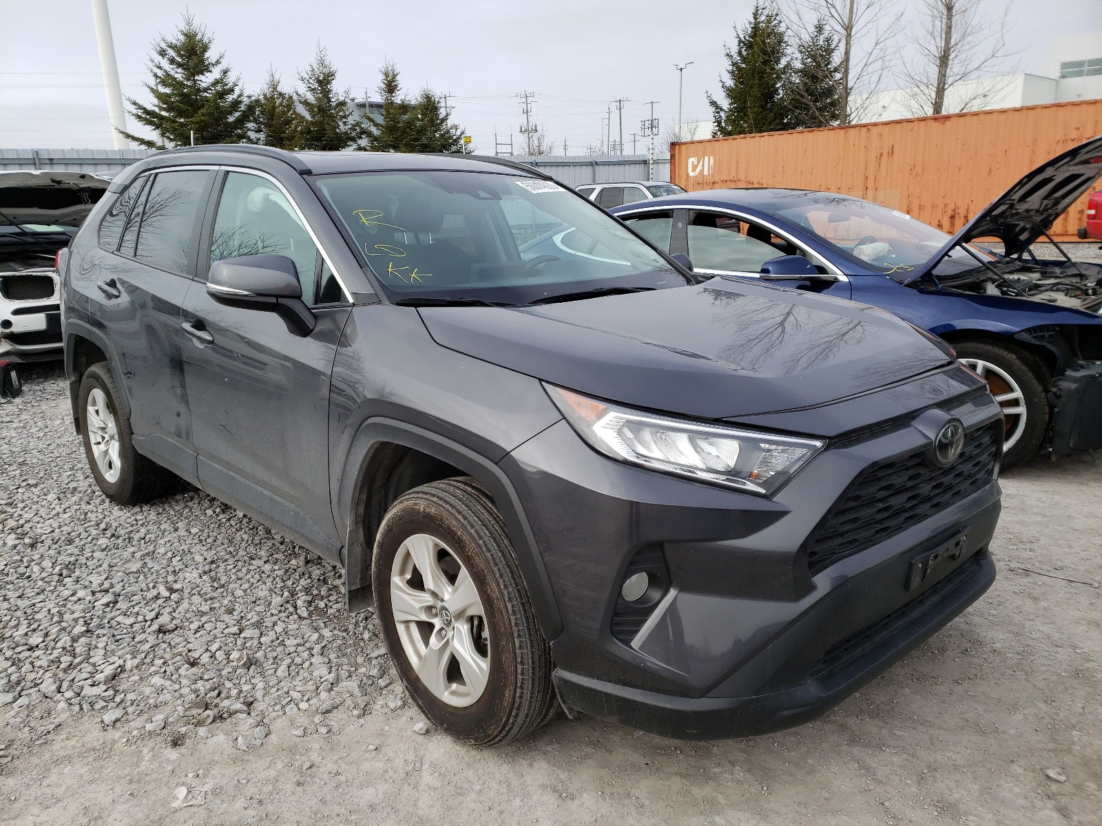 TOYOTA RAV4 XLE 2019 2t3w1rfv3kw022619