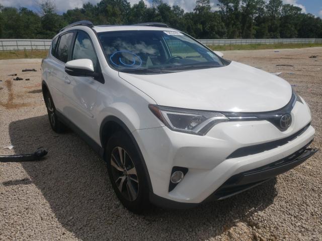 TOYOTA RAV4 XLE 2017 2t3wfrev0hw317835