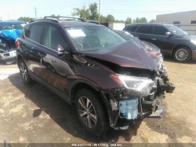 TOYOTA RAV4 2016 2t3wfrev2gw244014