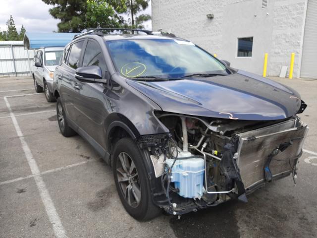 TOYOTA RAV4 XLE 2016 2t3wfrev3gw257399