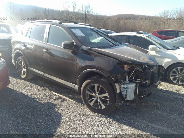 TOYOTA RAV4 2016 2t3wfrev3gw263302