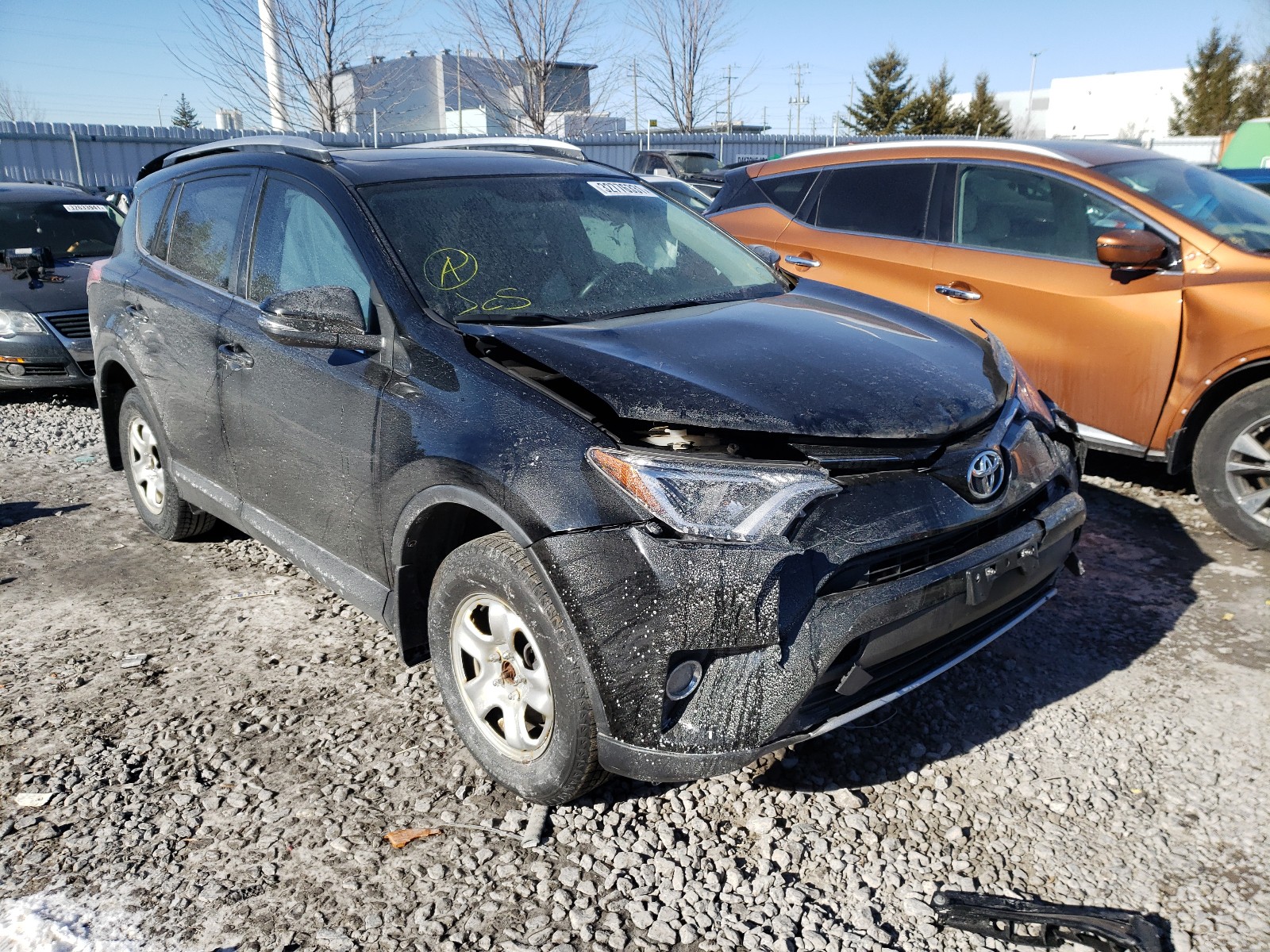 TOYOTA RAV4 XLE 2016 2t3wfrev4gw239543