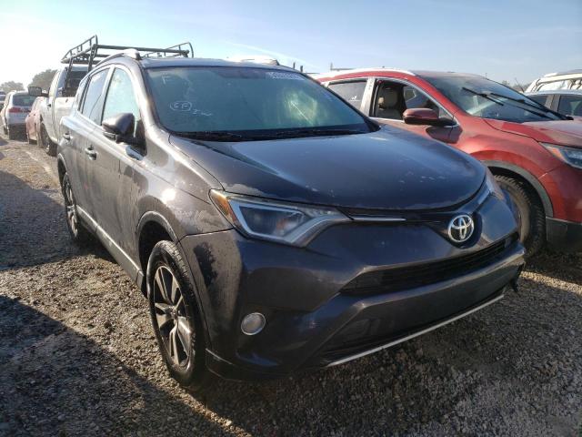 TOYOTA RAV4 XLE 2016 2t3wfrev5gw261244