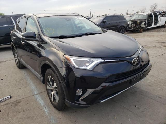 TOYOTA RAV4 XLE 2017 2t3wfrev6hw384441