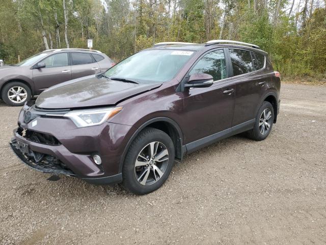 TOYOTA RAV4 XLE 2016 2t3wfrev7gw246065