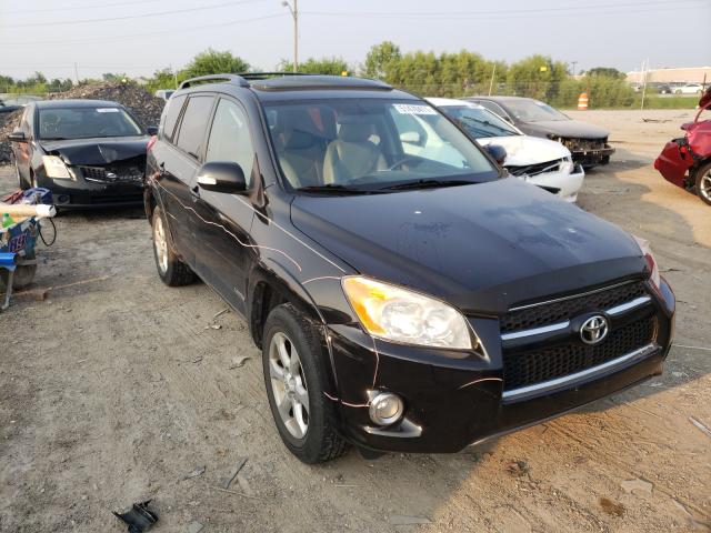 TOYOTA RAV4 LIMIT 2010 2t3yf4dv5aw039887