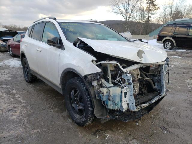 TOYOTA RAV4 LE 2014 2t3zfrev0ew084516