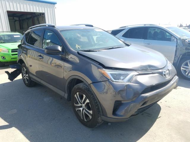 TOYOTA RAV4 LE 2016 2t3zfrev5gw240889