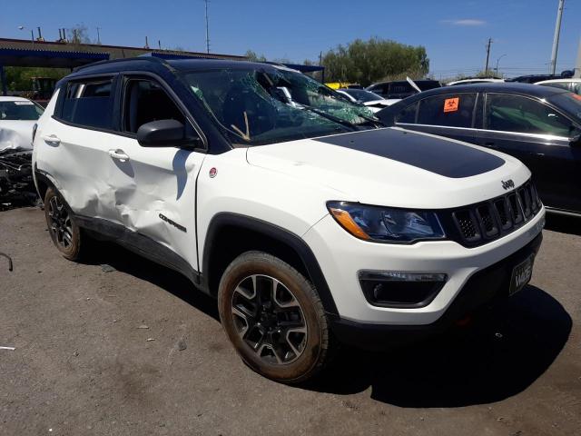 JEEP COMPASS TR 2020 3c4njddb1lt254992