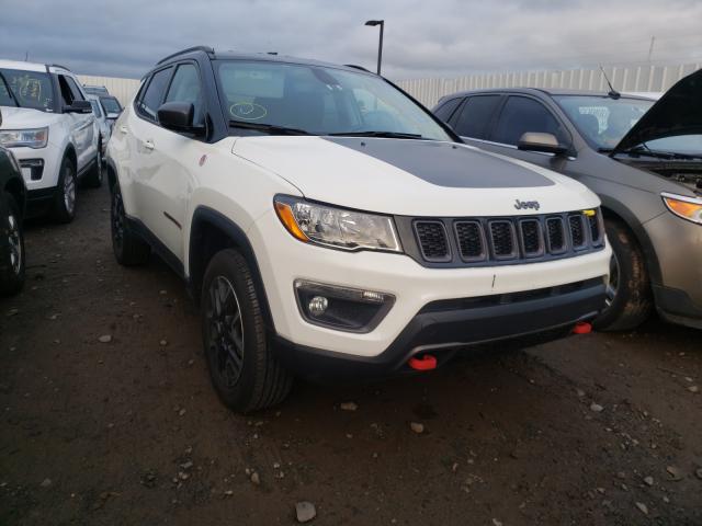 JEEP COMPASS TR 2019 3c4njddb2kt622577