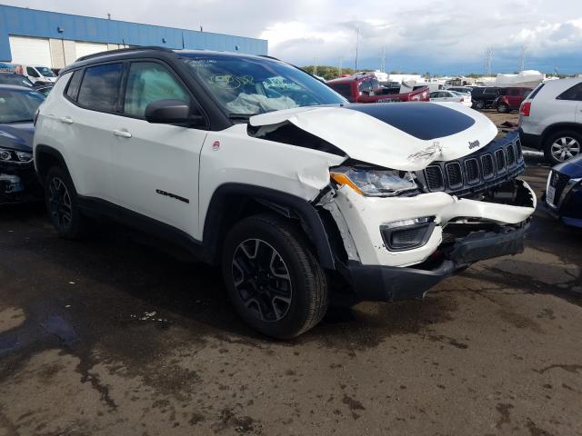 JEEP COMPASS TR 2019 3c4njddb4kt739674