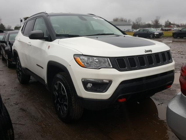 JEEP COMPASS TR 2020 3c4njddb4lt202949