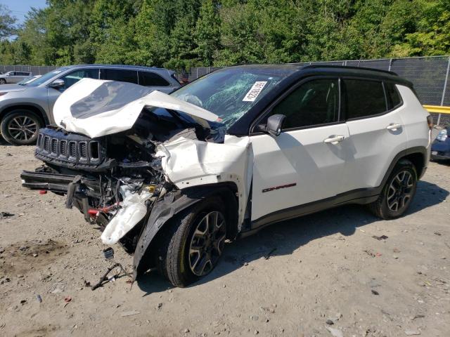 JEEP COMPASS TR 2019 3c4njddb8kt756543