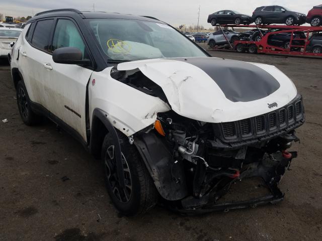 JEEP COMPASS TR 2019 3c4njddb8kt805529