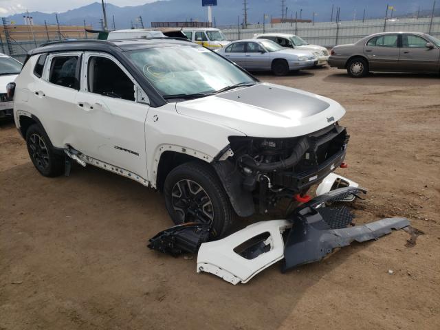 JEEP COMPASS TR 2019 3c4njddb9kt670979