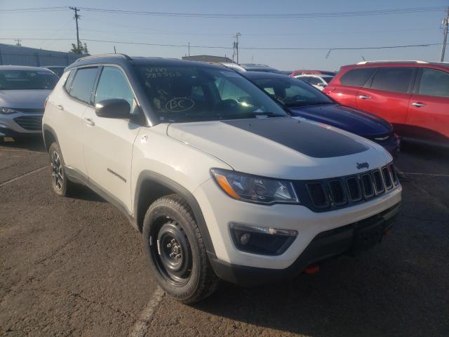 JEEP COMPASS TR 2019 3c4njddb9kt785503