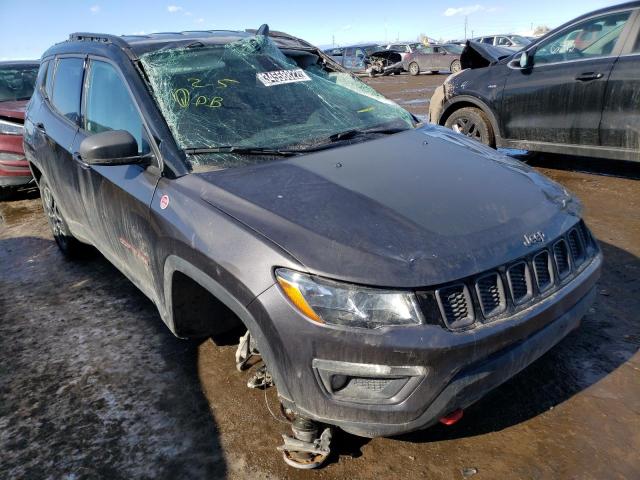 JEEP COMPASS TR 2020 3c4njddbxlt159511